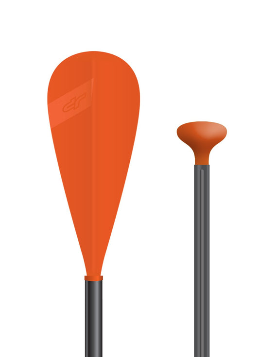 Glass PE Paddle small 2pc div.