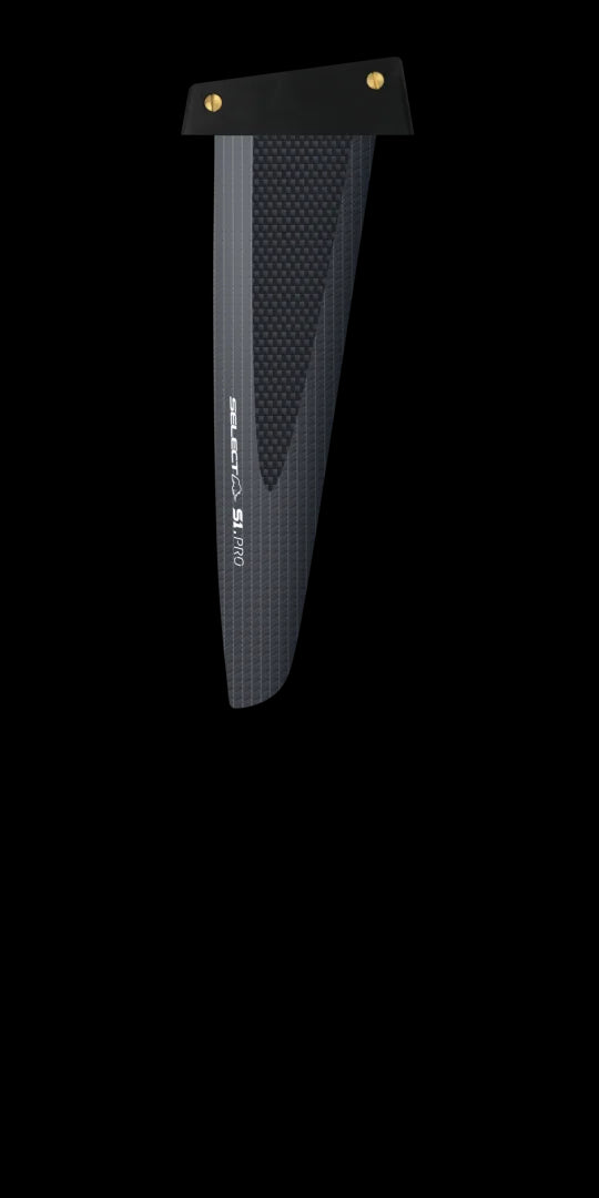 S1 PRO