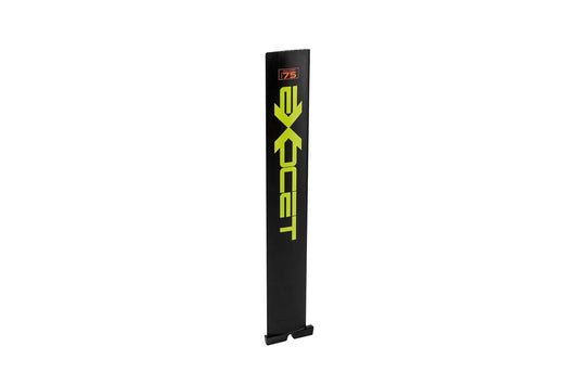 Alunium Mast 75 cm + Plug