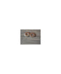 10x RVS Ring voor onder vinbout
